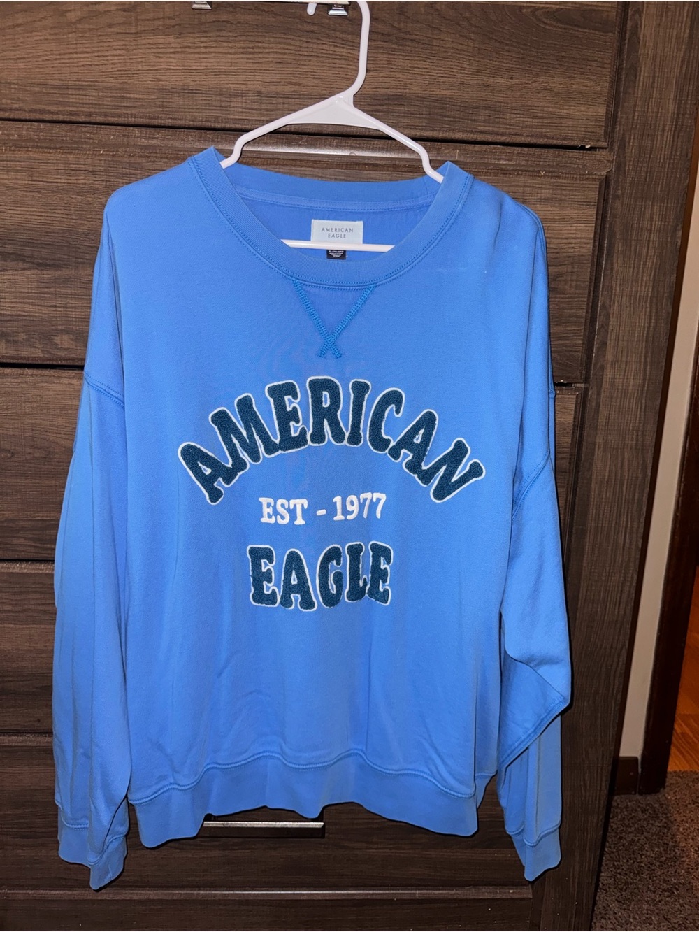 American Eagle Outfitters Crewneck Sweatshirt - Women’s
